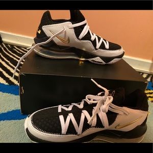Nike Lebron 17 Low Basketball Shoes